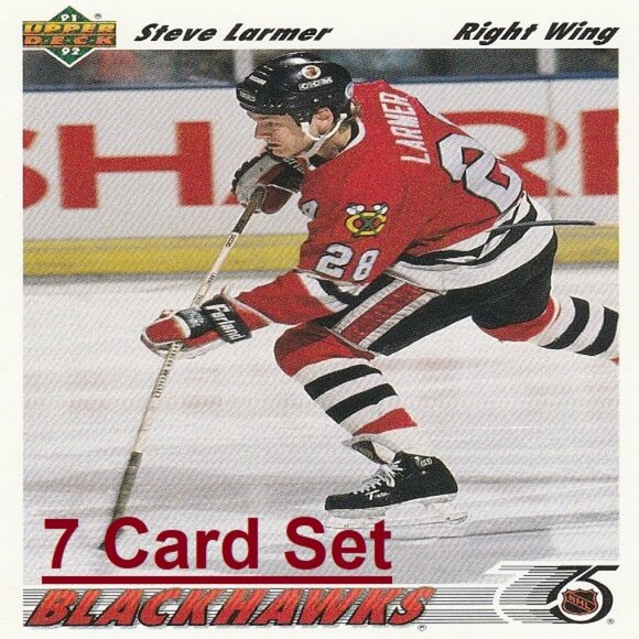 Steve Larmer Hockey Card Collection - Picture 1 of 8
